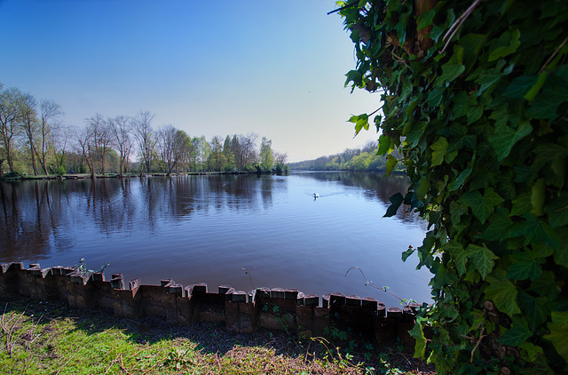 Etangs de vert-le-petit