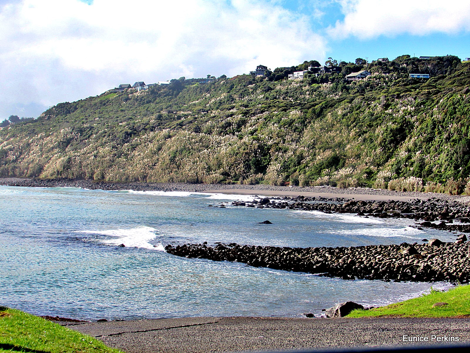 Beach at Manu Bay