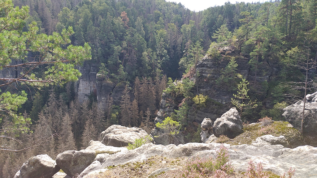 Aussicht Gehakter Weg