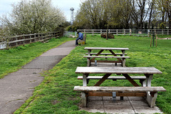 Picnic benches by a river.