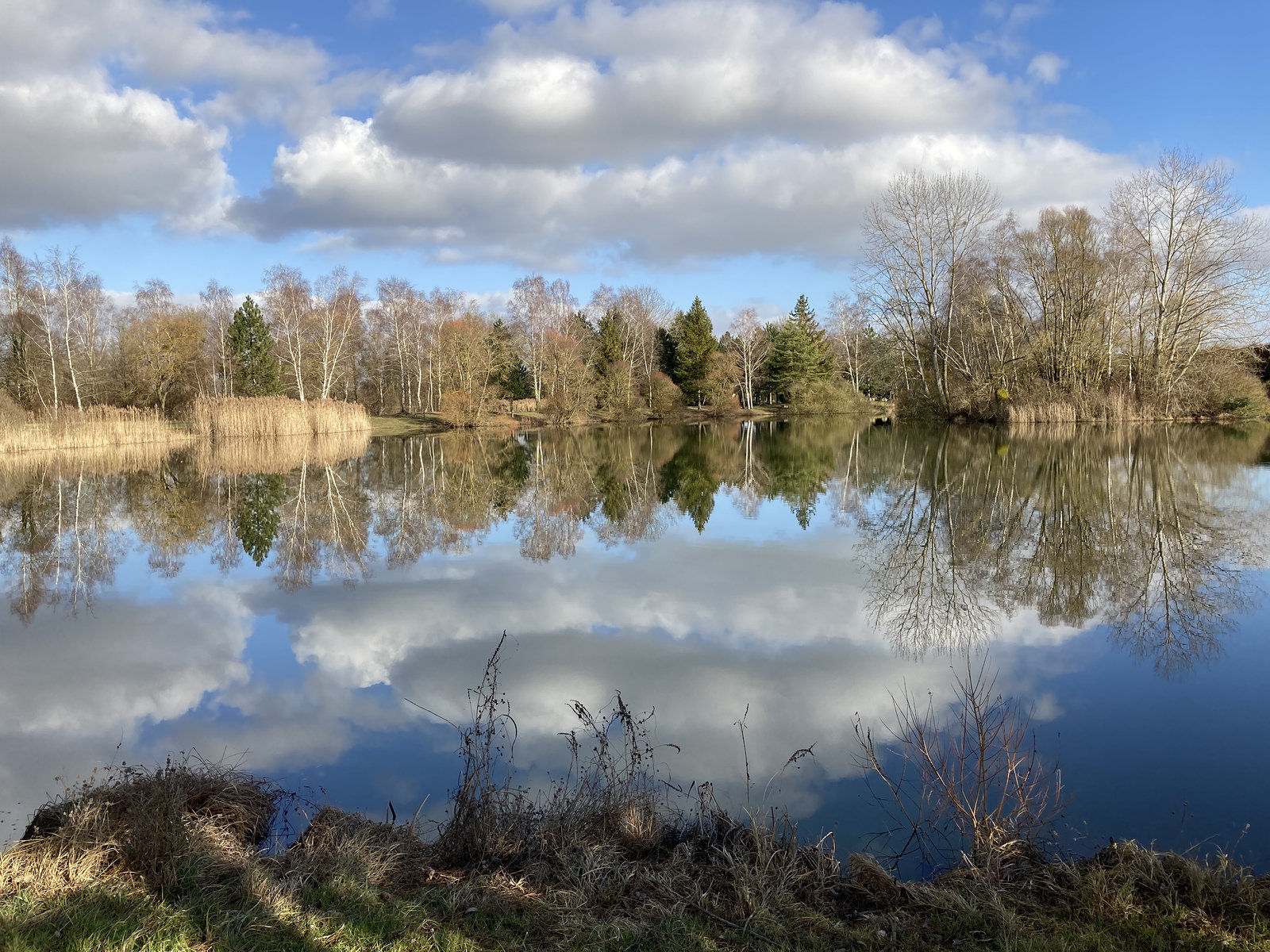 ETANG de VERTUS