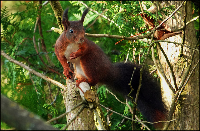 "Kann man nicht mal in Ruhe..." :-) "Kann man nicht mal in Ruhe..." :-)