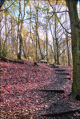 HBM............................