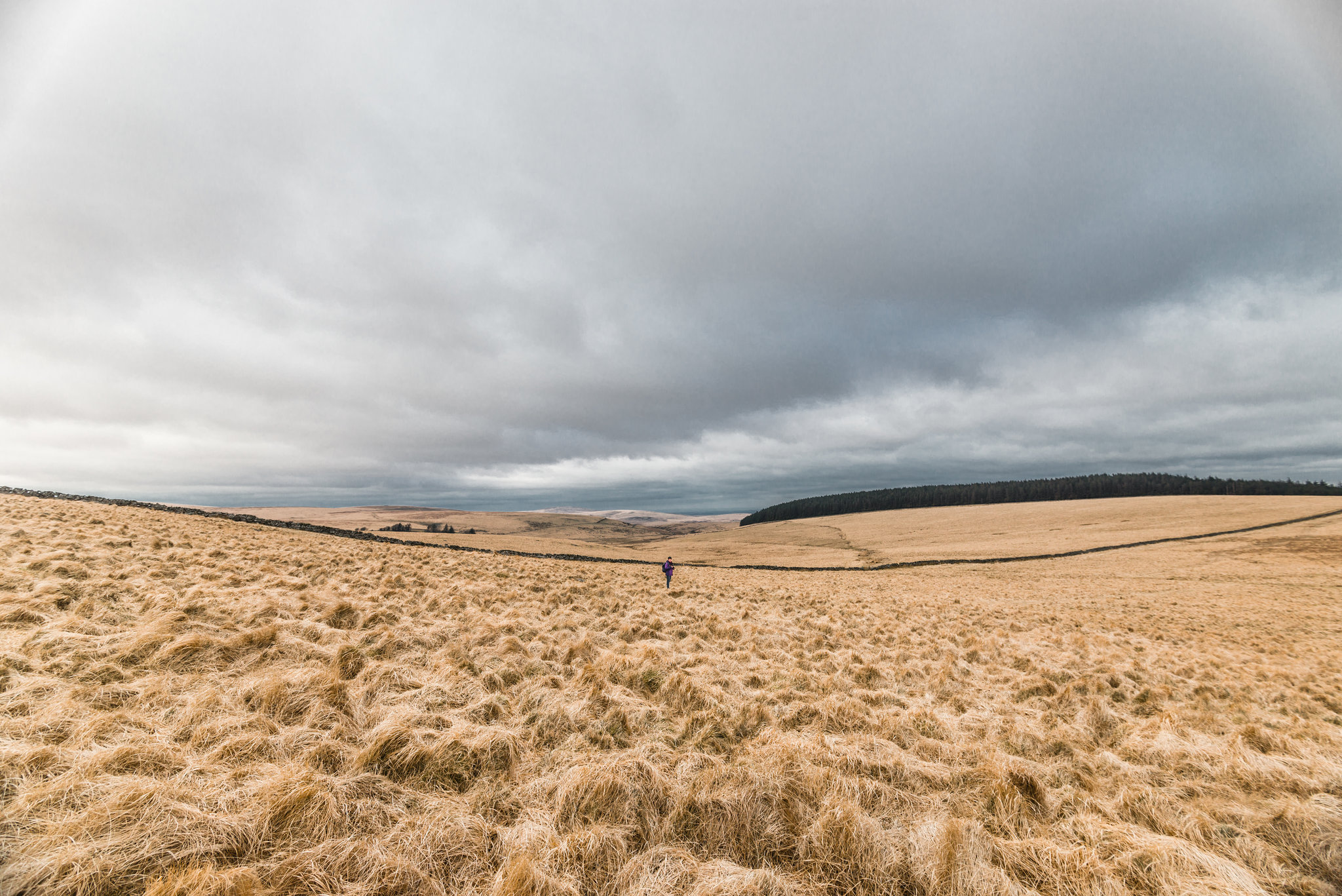 Dartmoor - 20160319