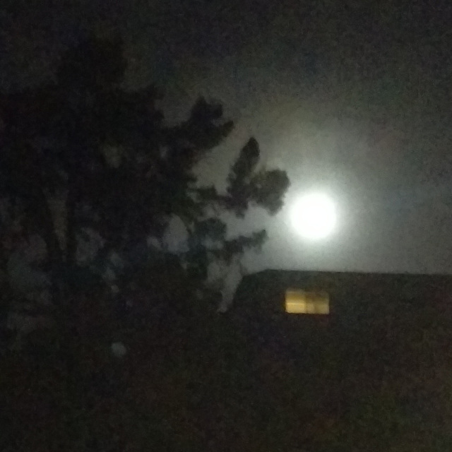 Full Moon (imag0484)