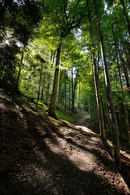 Via Alpina, Stage 8