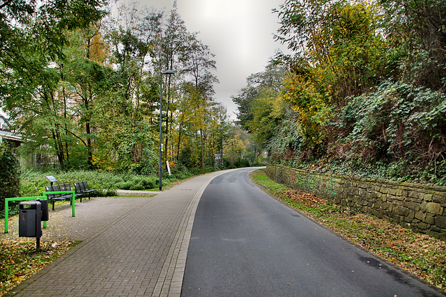 Radweg auf der ehem. Rheinischen Bahnstrecke (Wuppertal-Brill) / 8.11.2017