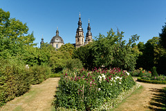 Jardin des Dahlias