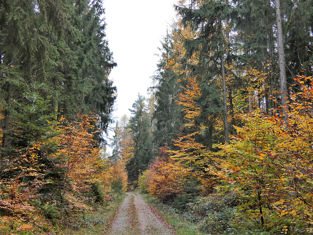 auf dem Weg zu den Drei-Kreuz