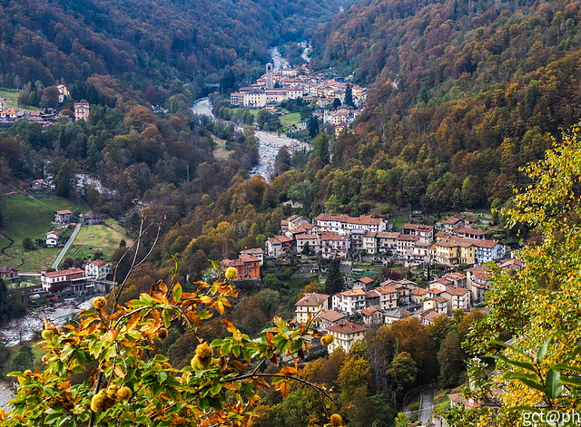 Autumn view of the Valle Cervo, Biella, with Quittengo at the bottom, and Campiglia Cervo at the top