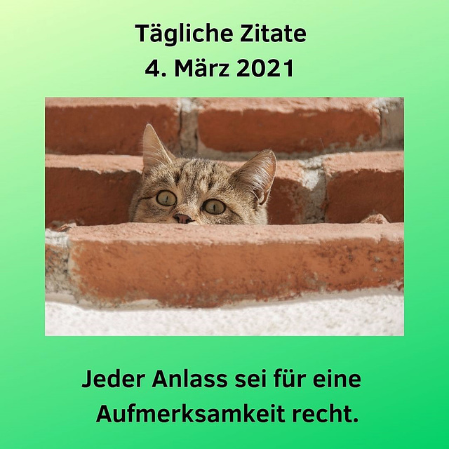 Tägliche Zitate 4. März 2021