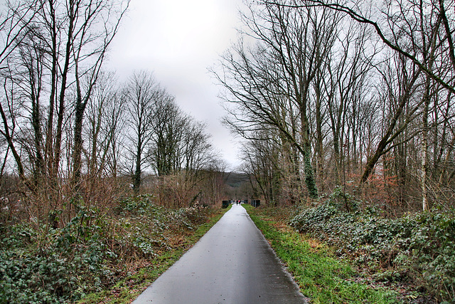 Ehemalige Trasse der Elbschetalbahn (Wetter-Wengern) / 30.12.2021