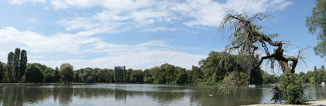 Englischer Garten