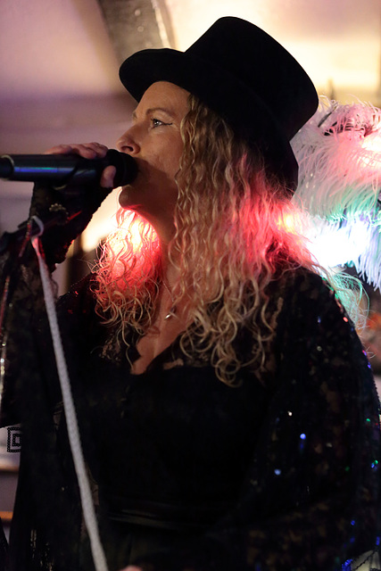 EOS 6D Peter Harriman 21 13 04 08645 StevieNicks unproc