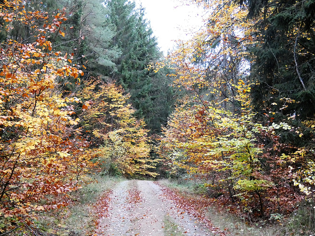 auf dem Weg zu den Drei-Kreuz