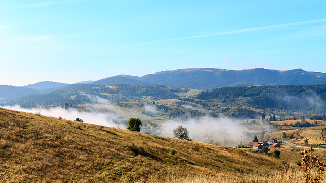 Morgennebel