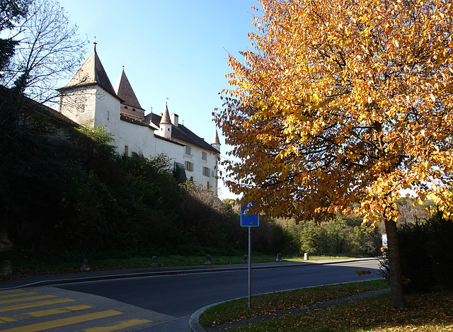 Herbststimmung beim Schloss La Sarraz