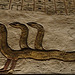 Tomb Of Ramesses III (KV11)