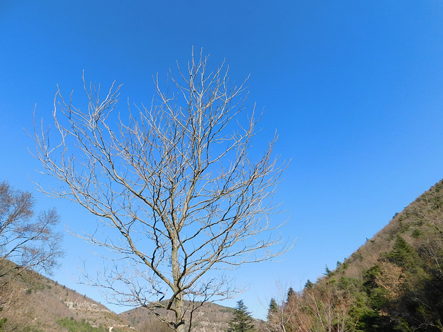 Seul dans ce beau ciel d'azur...