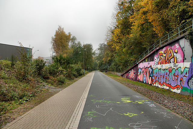 Radweg Nordbahntrasse (Wuppertal-Brill) / 8.11.2017