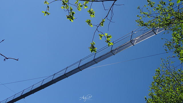 very high happy fence (pip)