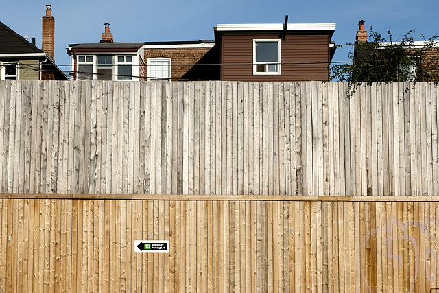 Happy Fence Friday