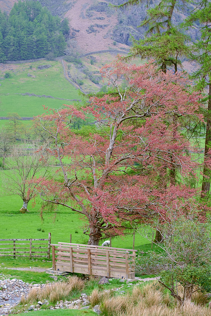 The bridge at Side House Farm