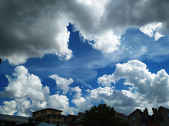 Nubes de la tarde, 21