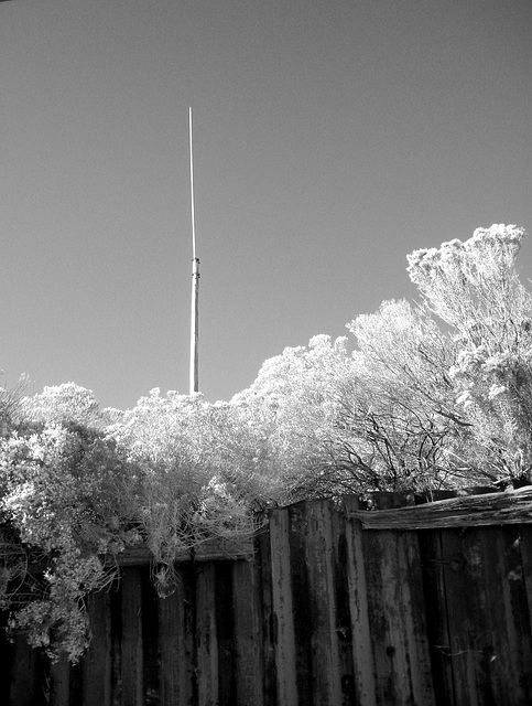 Antenna