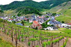 DE - Mayschoß - On the red wine trail