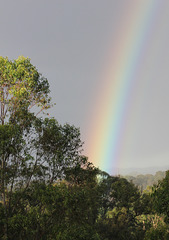 151/366 Saturday Rainbow