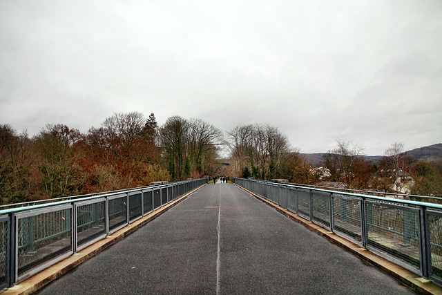 Radweg auf dem Elbschetal-Viadukt (Wetter-Wengern) / 30.12.2021