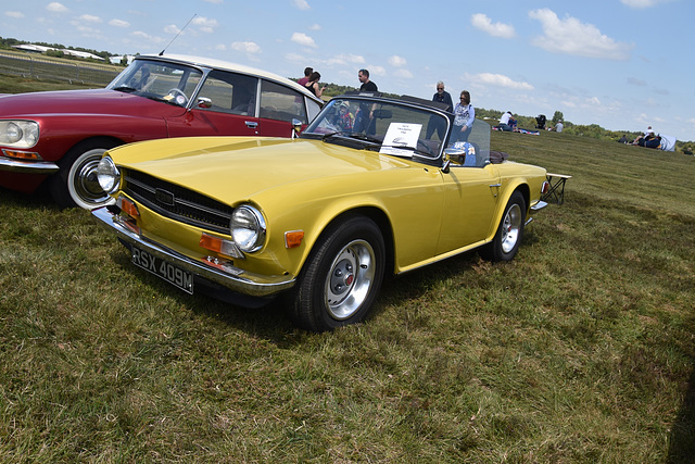 badjun32023 (1190)