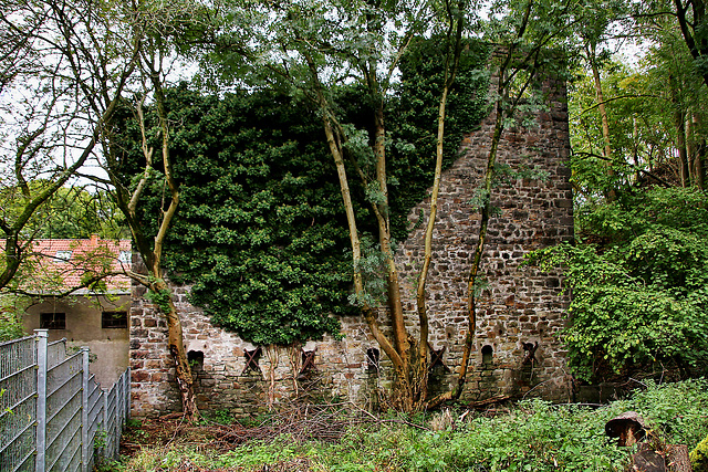 Ruine eines Sprengstoffbunkers am ehem. Steinbruch Schüren (Dortmund-Aplerbeck) / 21.10.2023