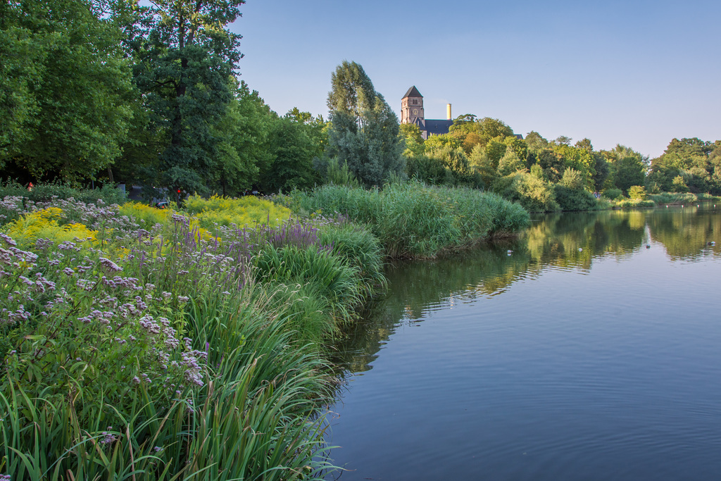 (219/365) Sommerabend am Schloßteich