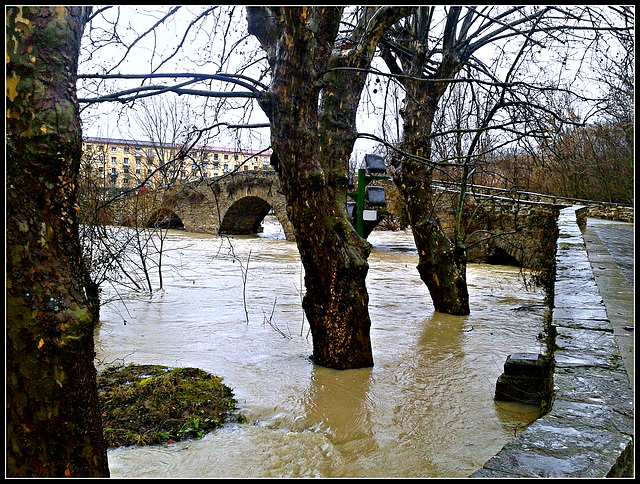 Pamplona: río Arga en crecida 1