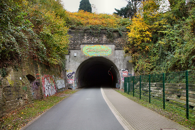 Ehem. Bahnstrecke Düsseldorf-Derendorf–Dortmund Süd, Westportal des Dorrenberg-Tunnels (Wuppertal-Elberfeld) / 8.11.2017
