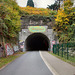 Ehem. Bahnstrecke Düsseldorf-Derendorf–Dortmund Süd, Westportal des Dorrenberg-Tunnels (Wuppertal-Elberfeld) / 8.11.2017