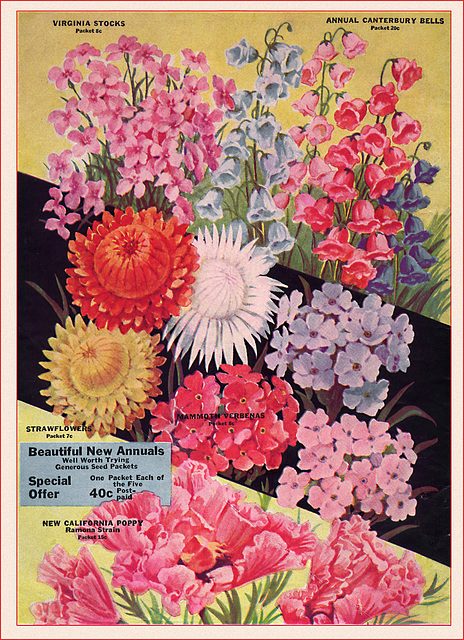 Great Northern Seed Co. Catalog (2), 1935
