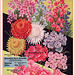 Great Northern Seed Co. Catalog (2), 1935