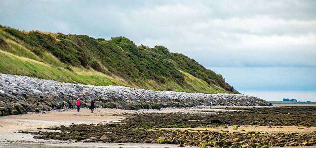 Caldy shore