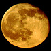 new-years-eve-moonrise 50783501368 o