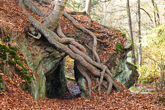 Felsdurchbruch am Selkestieg