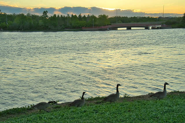 waiting for the sunrise