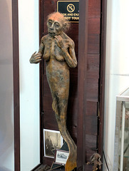 PXL 20250810 164745749-001-Mermaid