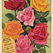 Great Northern Seed Co. Catalog (3), 1935