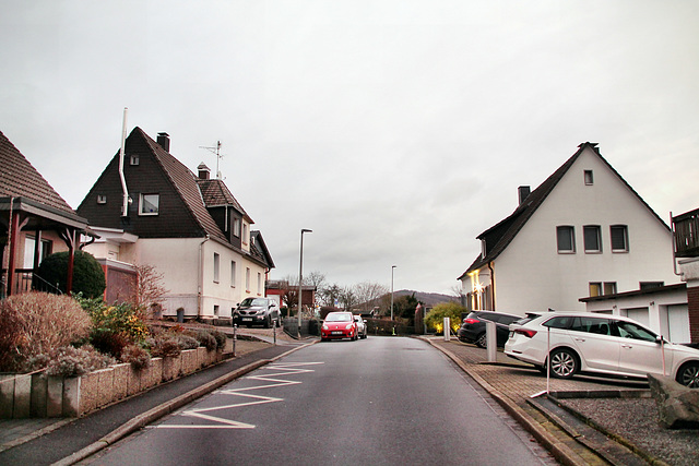 Höltkenstraße (Wetter-Wengern) / 30.12.2021