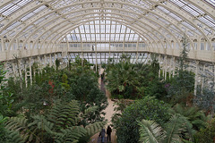 The Temperate House