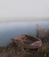 Scene di nebbia