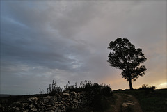 Penedos, Sunset